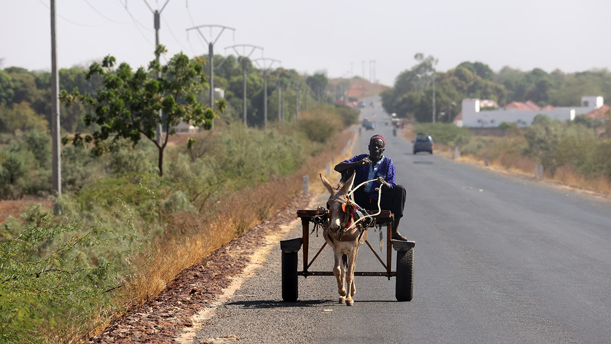 Ezelwagen in Gambia